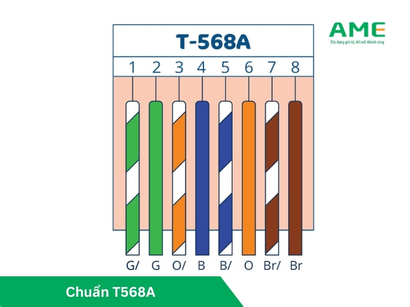 Bấm dây mạng 8 sợi chuẩn T568A