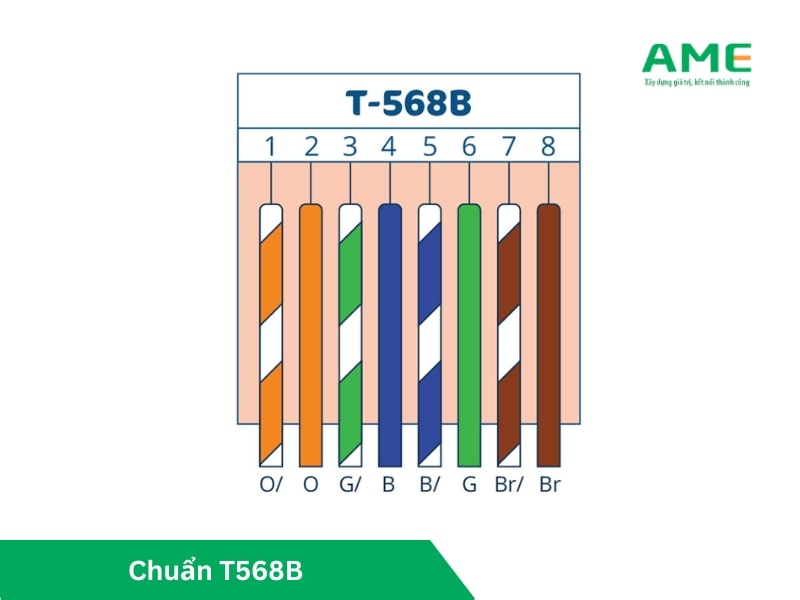 Bấm dây mạng 8 sợi chuẩn T568B