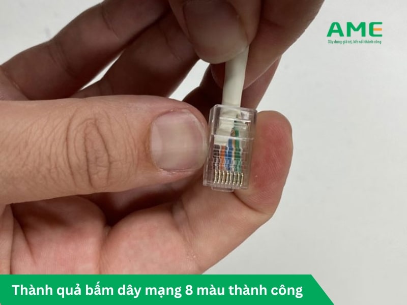 Các bước bấm dây mạng 8 màu theo chuẩn A