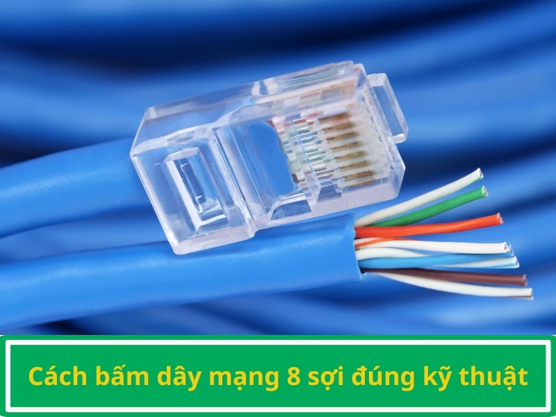 Bấm dây mạng 8 sợi