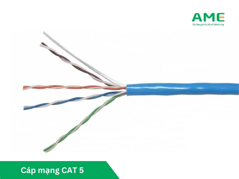 Cáp mạng CAT5 (Category 5)