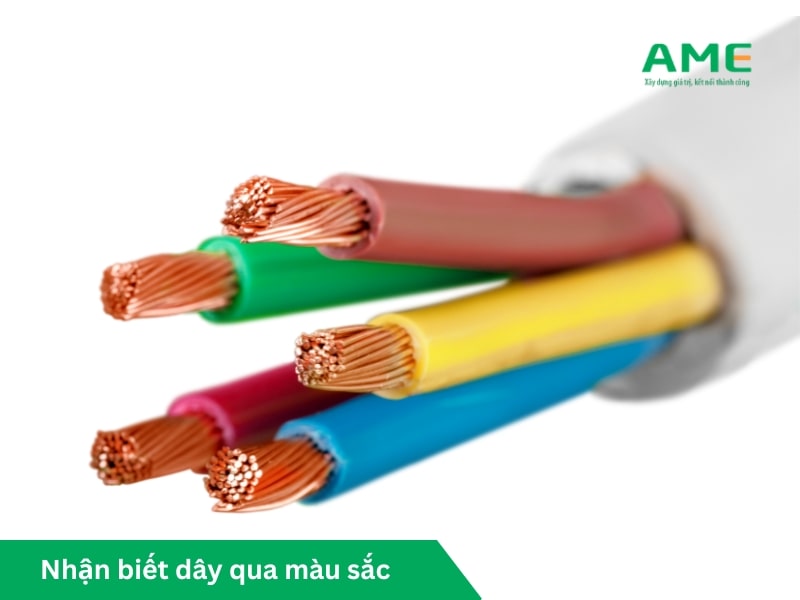 Nhận biết dây qua màu sắc